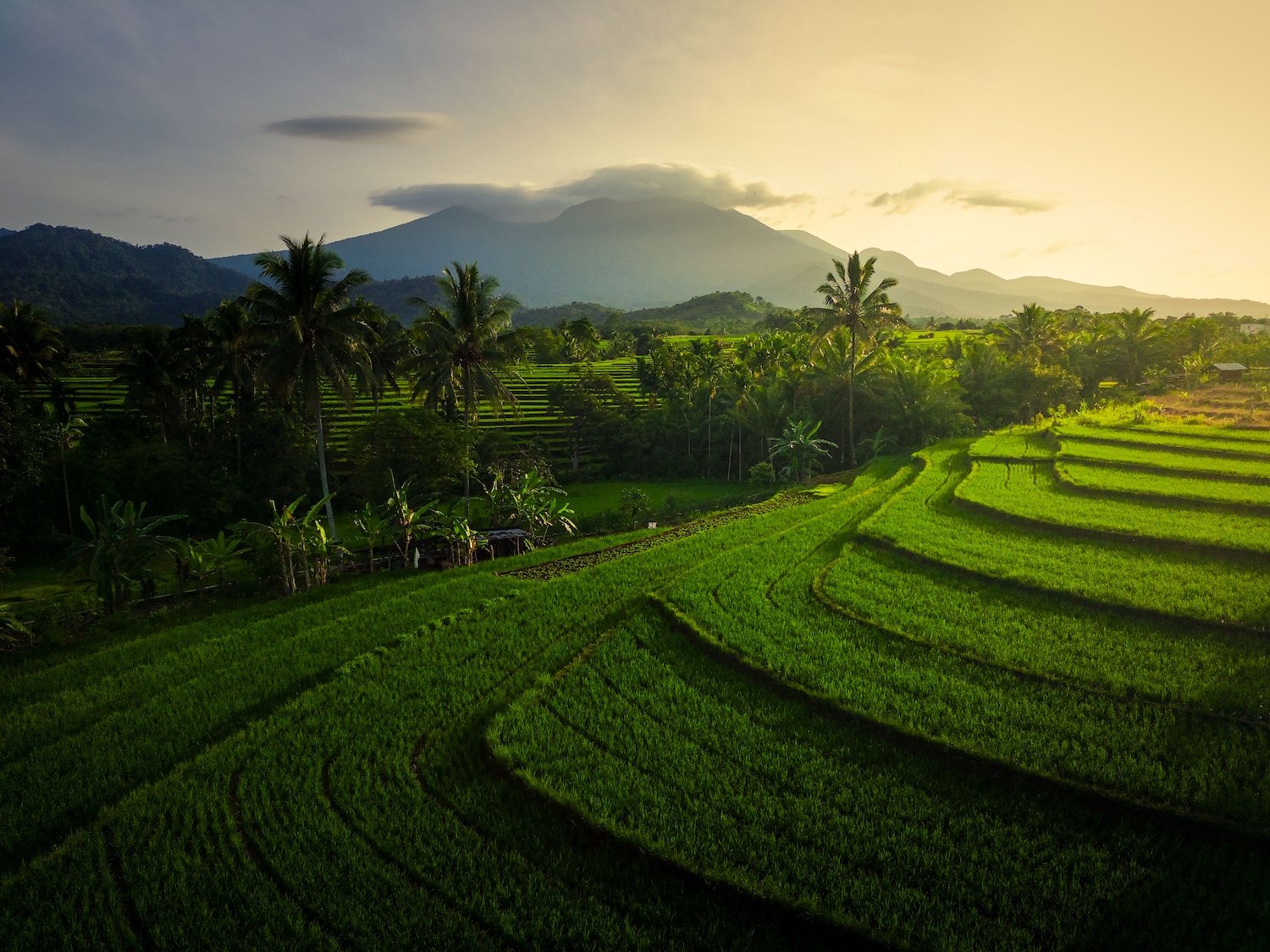 Explore the World in 2025: Travel Trends That Will Transform Your Journeys