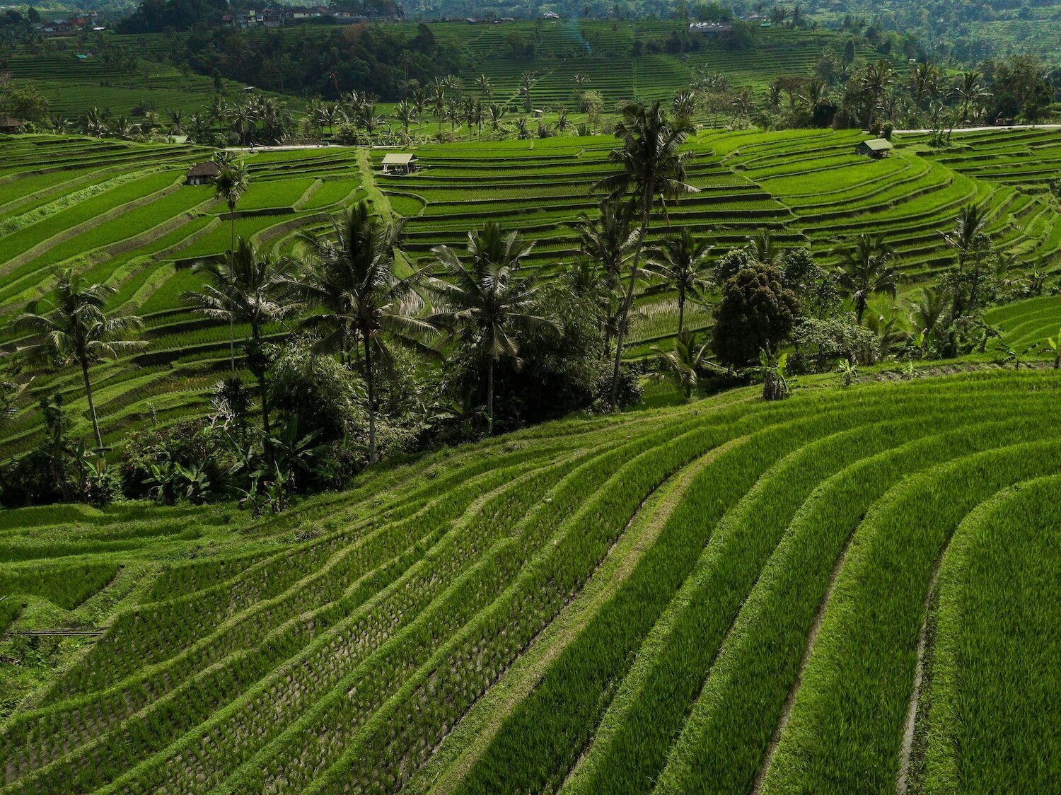 Bali, Indonesia: A Soulful Journey into 2025’s Transformative Travel | Viva-Travel.com