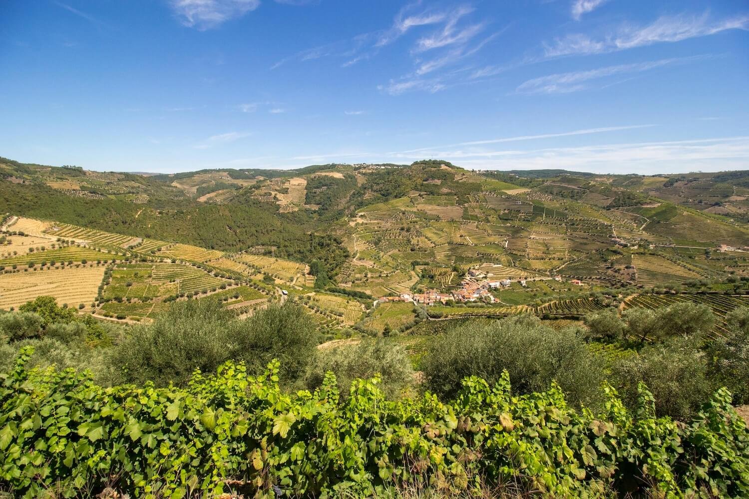 2025’s Must-Visit Attractions: Where Journeys Heal the Soul and the Planet | Viva-Travel.com